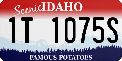 ID license plate 1T1075S