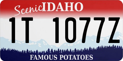 ID license plate 1T1077Z