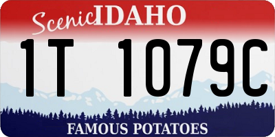 ID license plate 1T1079C
