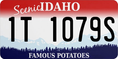 ID license plate 1T1079S