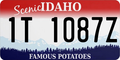 ID license plate 1T1087Z