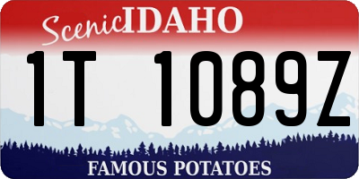 ID license plate 1T1089Z