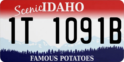 ID license plate 1T1091B