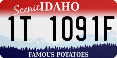 ID license plate 1T1091F
