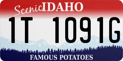ID license plate 1T1091G