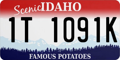 ID license plate 1T1091K