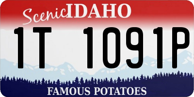 ID license plate 1T1091P