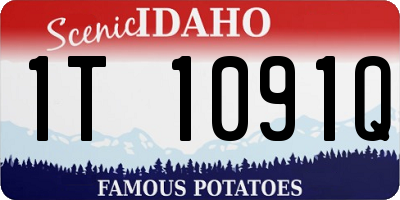ID license plate 1T1091Q