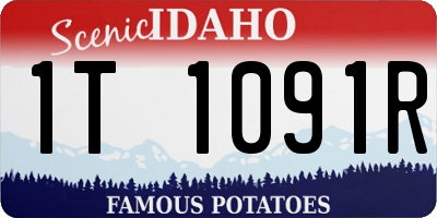 ID license plate 1T1091R