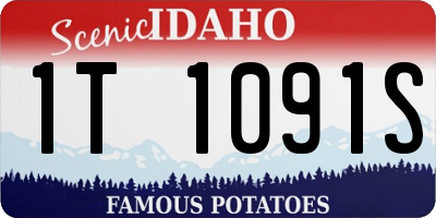 ID license plate 1T1091S