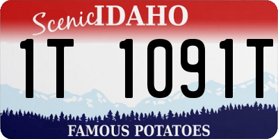 ID license plate 1T1091T