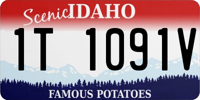 ID license plate 1T1091V