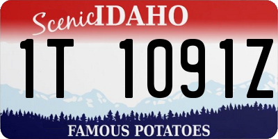 ID license plate 1T1091Z