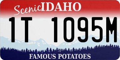 ID license plate 1T1095M