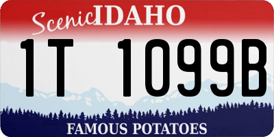 ID license plate 1T1099B
