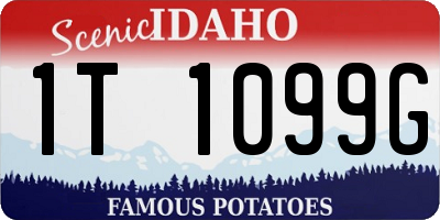 ID license plate 1T1099G