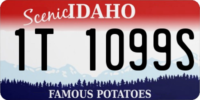 ID license plate 1T1099S