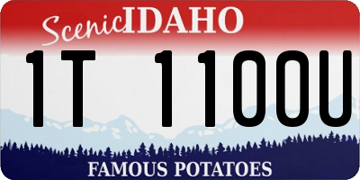 ID license plate 1T1100U