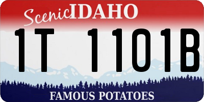 ID license plate 1T1101B