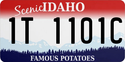 ID license plate 1T1101C