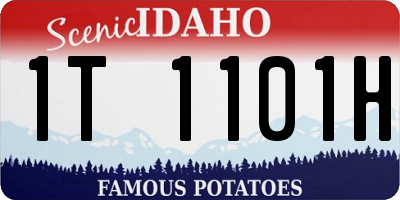 ID license plate 1T1101H