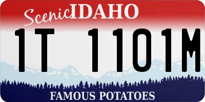 ID license plate 1T1101M