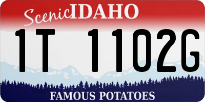 ID license plate 1T1102G