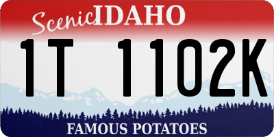 ID license plate 1T1102K
