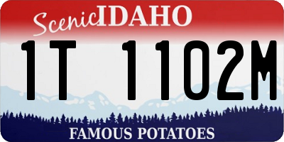 ID license plate 1T1102M