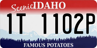 ID license plate 1T1102P