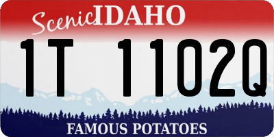 ID license plate 1T1102Q