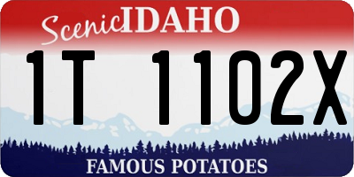ID license plate 1T1102X