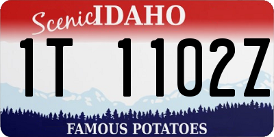 ID license plate 1T1102Z