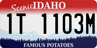 ID license plate 1T1103M