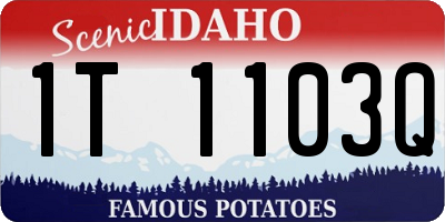 ID license plate 1T1103Q