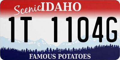 ID license plate 1T1104G