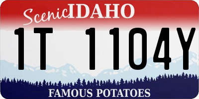 ID license plate 1T1104Y