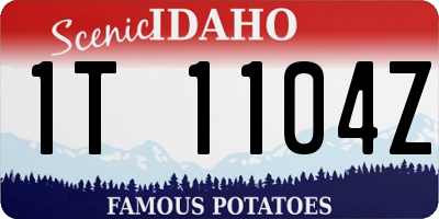 ID license plate 1T1104Z
