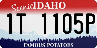 ID license plate 1T1105P