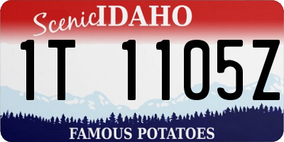 ID license plate 1T1105Z
