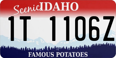 ID license plate 1T1106Z