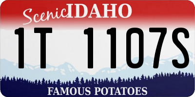 ID license plate 1T1107S