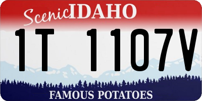 ID license plate 1T1107V