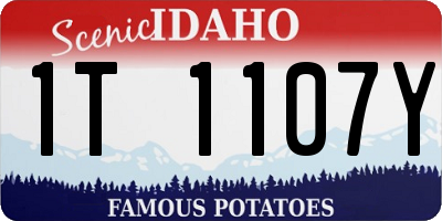 ID license plate 1T1107Y
