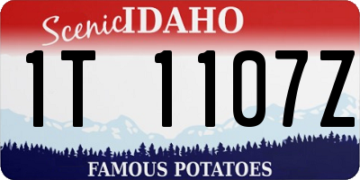 ID license plate 1T1107Z