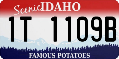 ID license plate 1T1109B