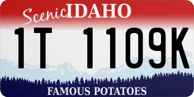 ID license plate 1T1109K