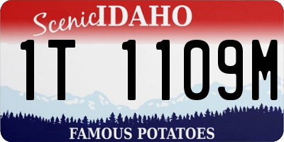 ID license plate 1T1109M