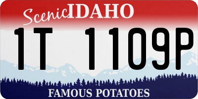 ID license plate 1T1109P