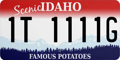 ID license plate 1T1111G